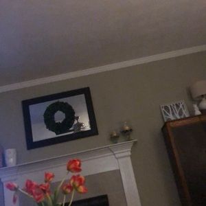 Meet your Posher, Grayson